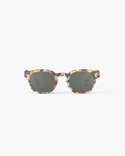 #C Tortue bleue