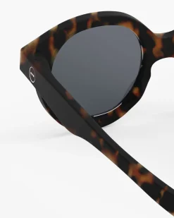 #c Tortue Polarisé