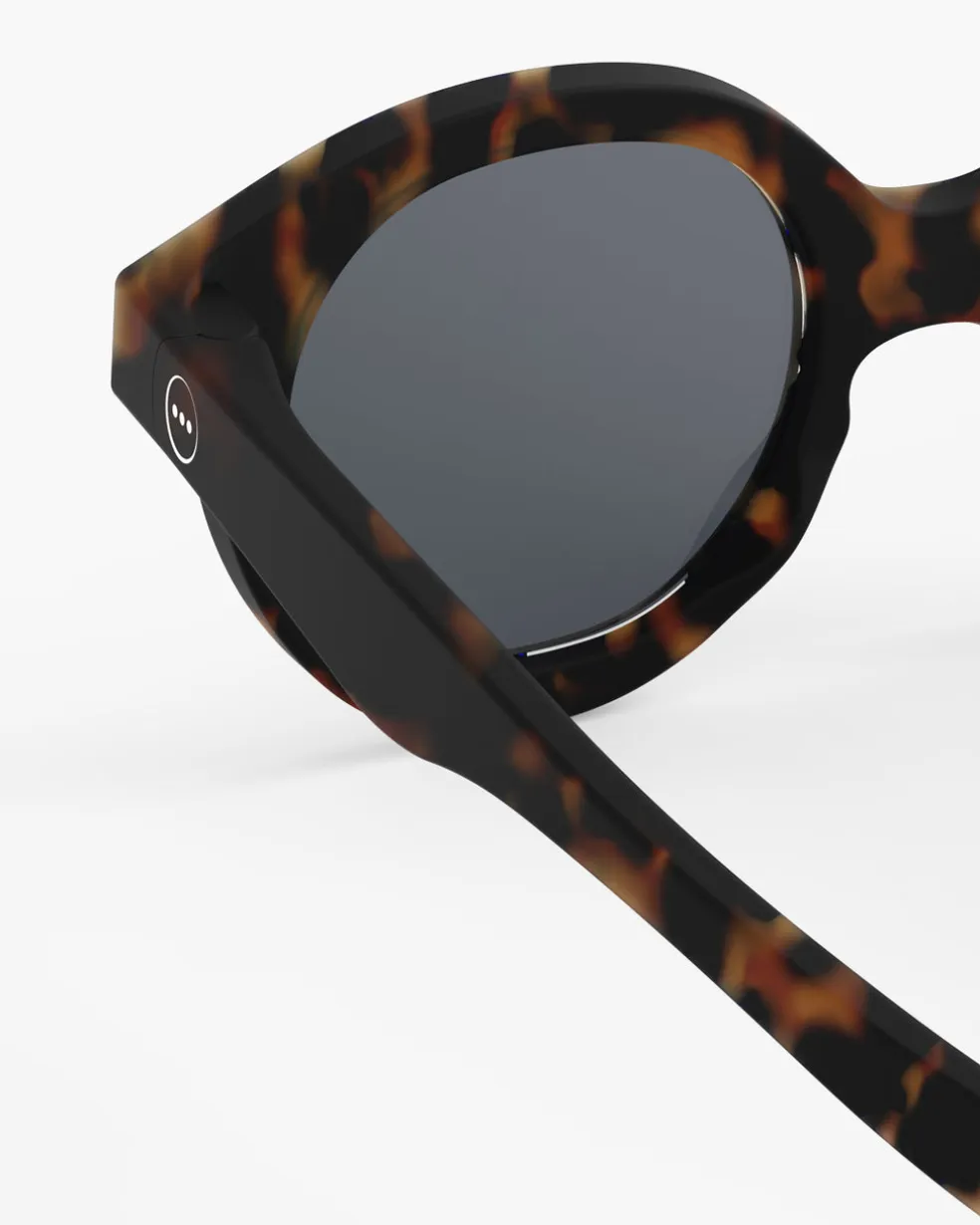#c Tortue Polarisé