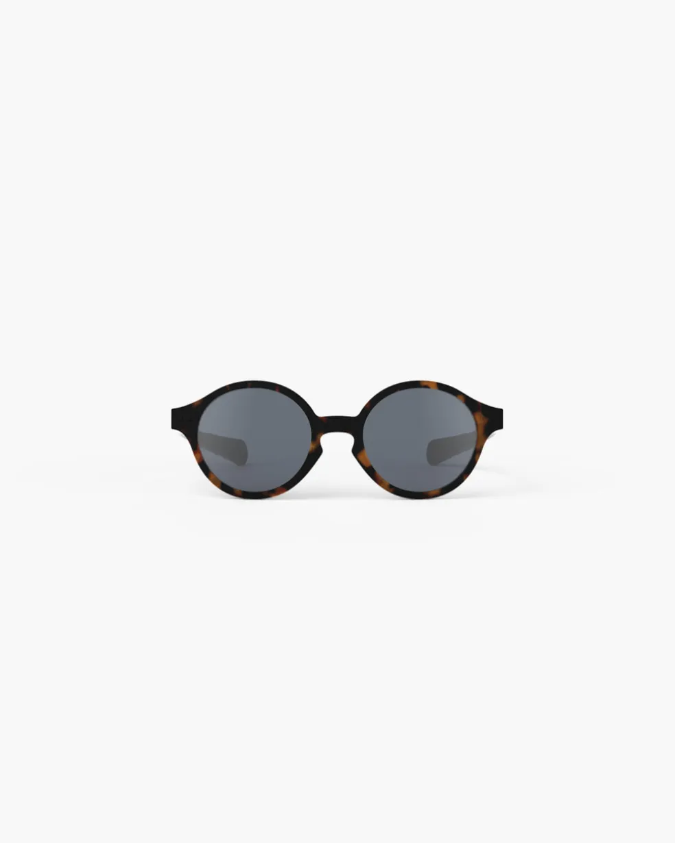 #d Tortue polarisé