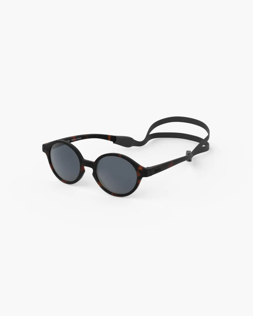 #d Tortue polarisé