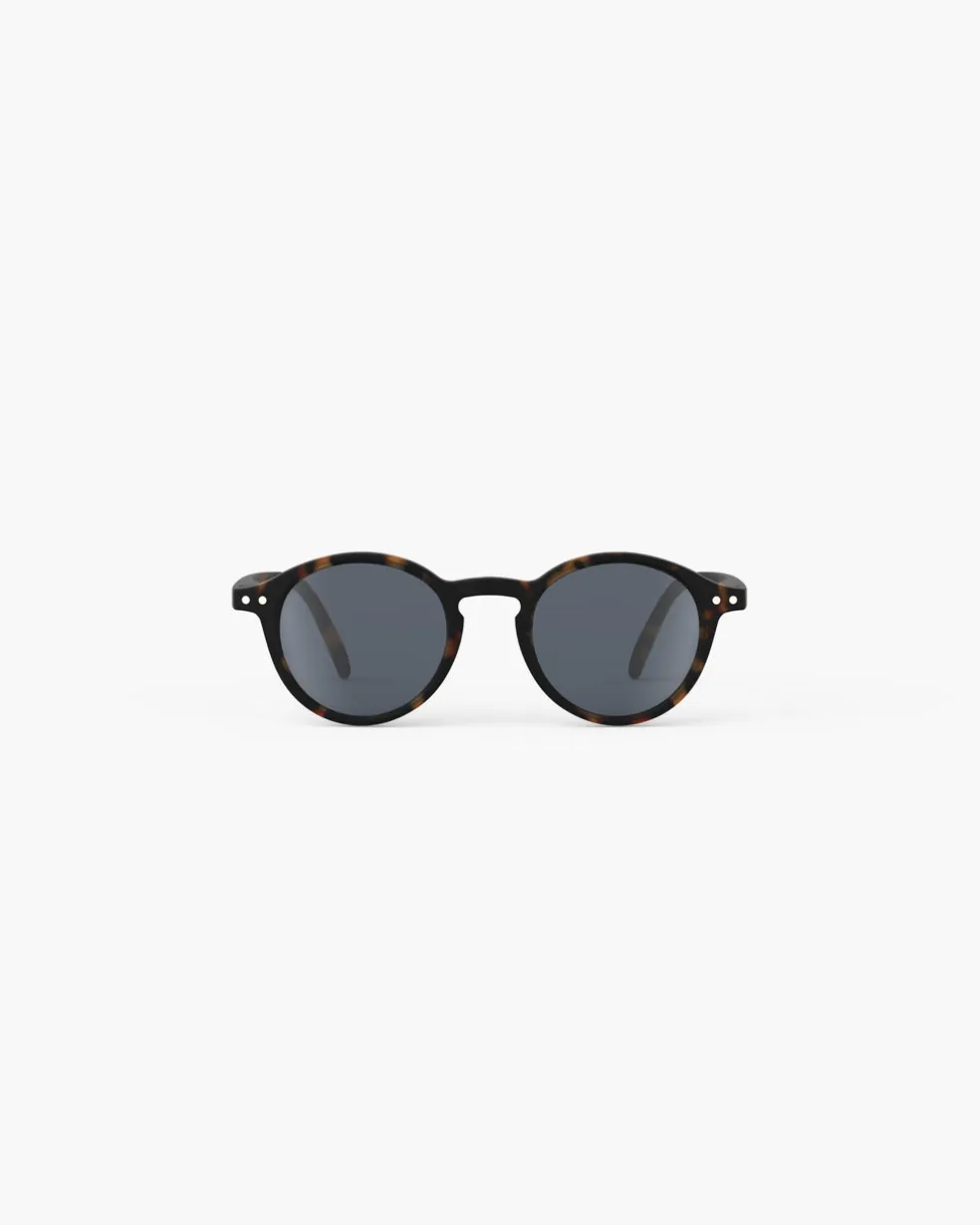 #d Tortue polarisé